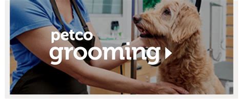 Come work at a place where innovation and. . Grooming appointment petco